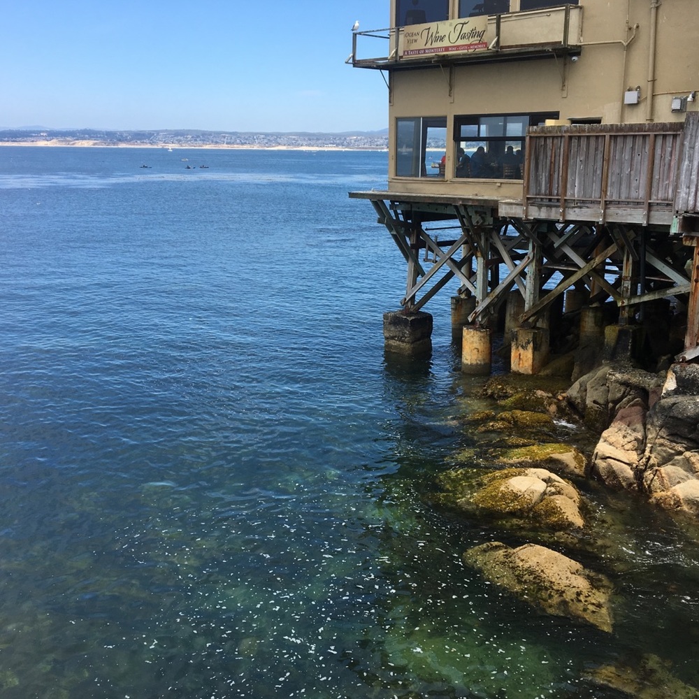 Meet your Posher, Kail